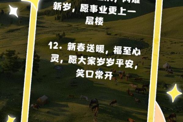曹新华：和谐美满，事业腾飞之选