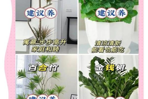 家居风水植物大揭秘：这些植物不宜养在家