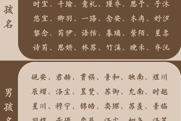 焦宝宝起名灵感：经典与现代交融的创意美名