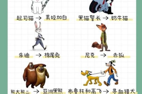 宠物名字大揭秘：贱萌宠物名背后的故事