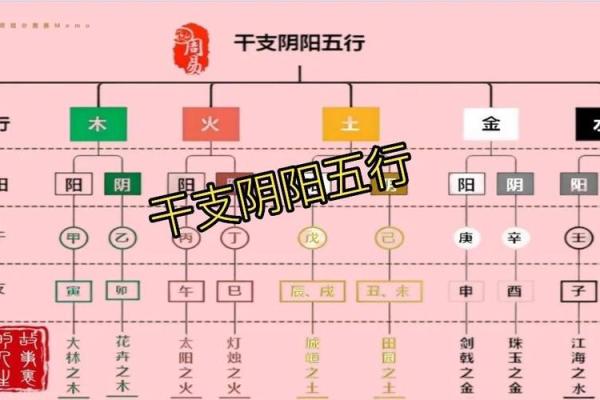 地支阴阳巧区分：告别疑惑，快速上手