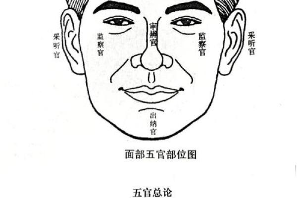 鼻柱塌陷的面相解析：影响命运与性格的秘密