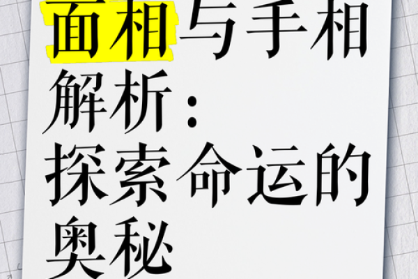 风水学中手相的奥秘与命运解读