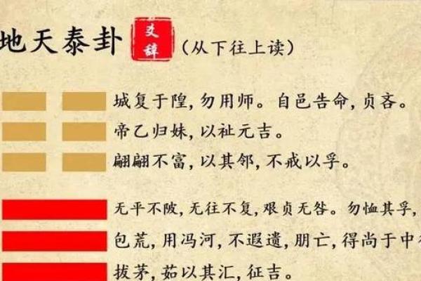 阴阳交泰，十二地支，揭开神秘面纱