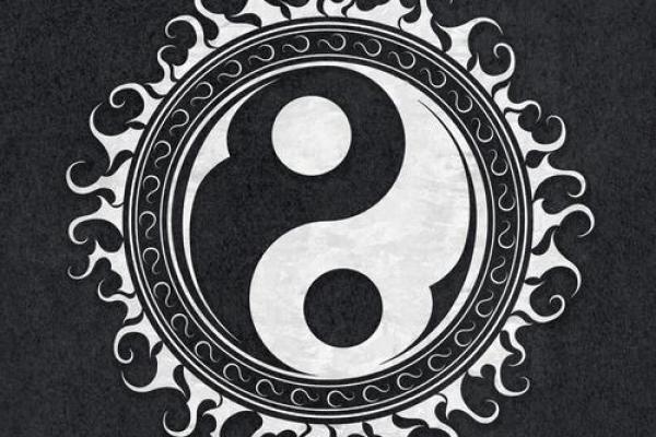 阴阳交泰，十二地支，揭开神秘面纱