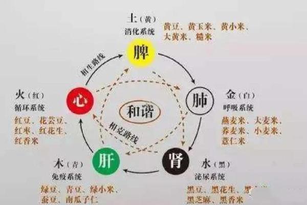 秋季五行元素如何调养身体