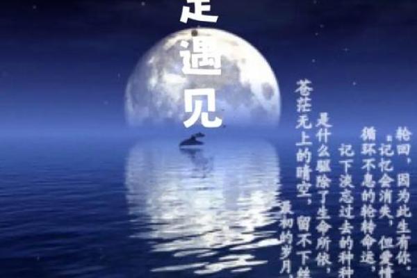 丧夫之痛：揭秘中年丧夫的宿命轮回