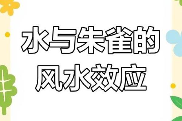 了解风水学中水元素的象征与影响