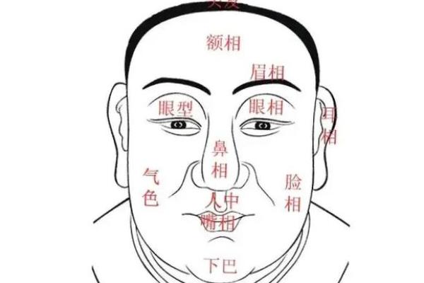面相揭秘：鼻孔大揭秘财运与性格之谜