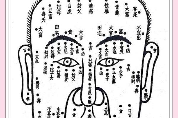 面相揭秘：鼻孔大揭秘财运与性格之谜