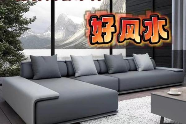 家居风水秘籍：图解布局，财运亨通，健康无忧