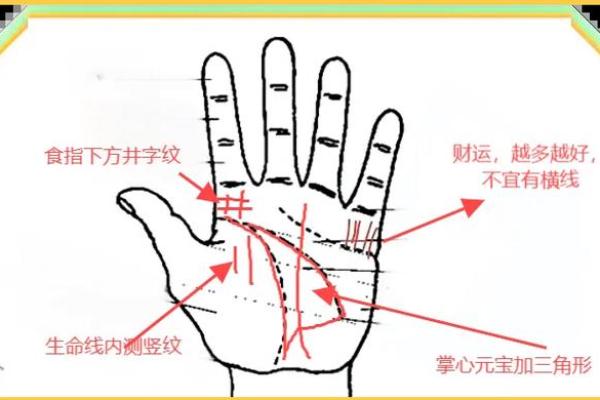 燃情掌纹解析：火相手相的独特魅力！