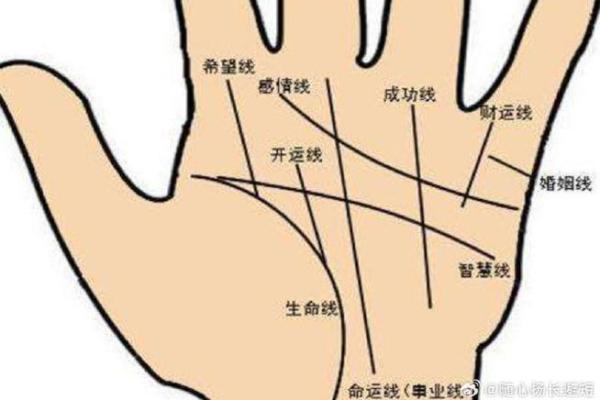 燃情掌纹解析：火相手相的独特魅力！