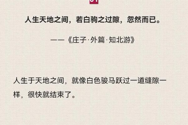 庄子哲学启发的公司命名灵感分享
