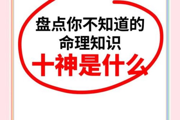 揭秘命运密码：八字算命，你的命运轨迹一网打尽！