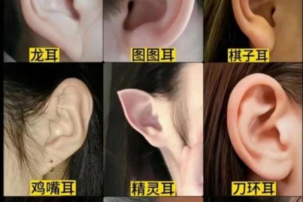 完美脸型+独特性格=你的面相密码，揭秘爆款运势！