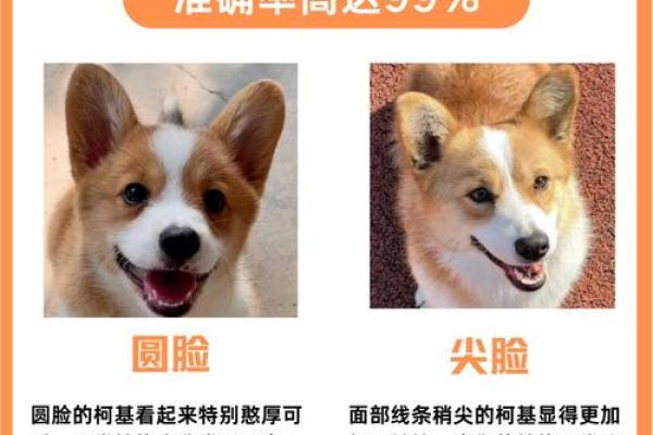 完美脸型+独特性格=你的面相密码，揭秘爆款运势！