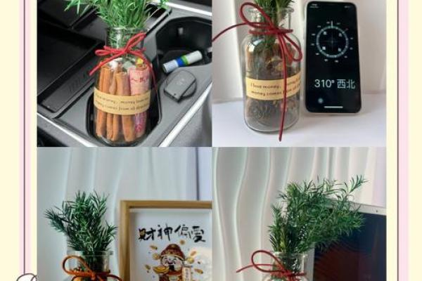 端午节必看！家居风水布局，助你招财进宝全攻略