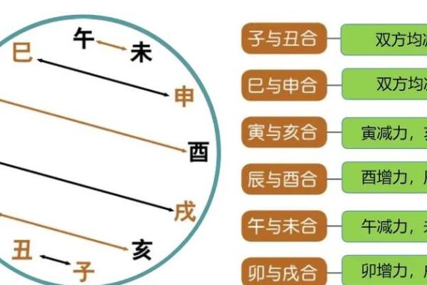 地支配对大揭秘，看看你的命中良缘