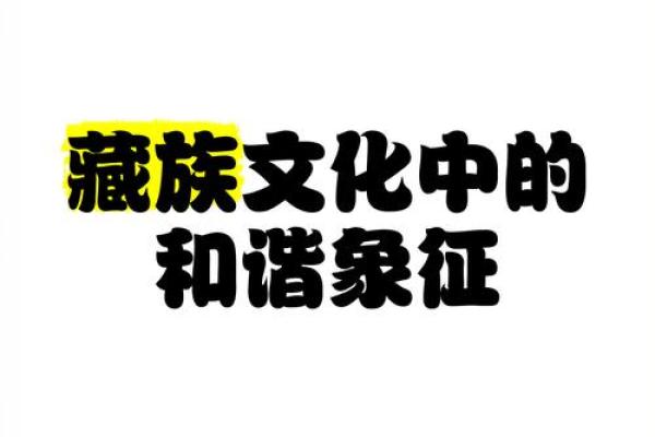走进藏族传统文化：语言、艺术与节庆的传承