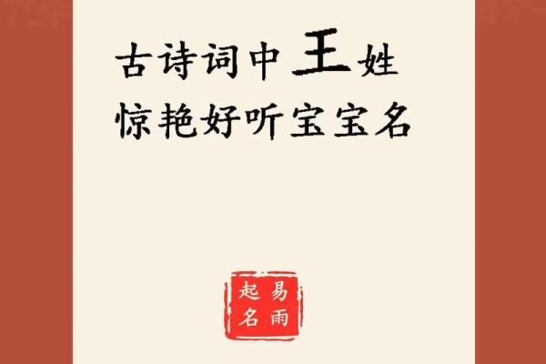 名字魅力大揭秘：美女王名字的独特韵味