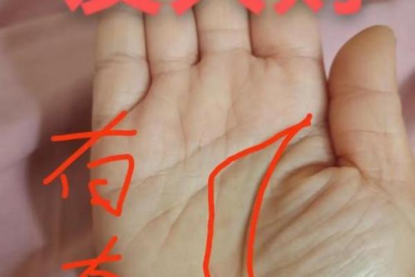 手相看海外机遇：揭秘成功移民的秘密法则！