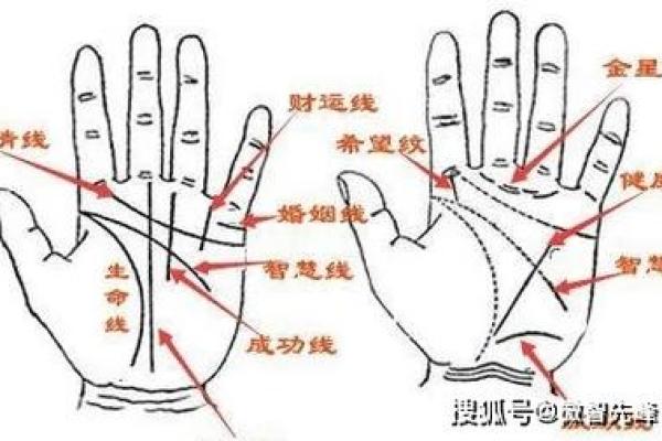 手相看海外机遇：揭秘成功移民的秘密法则！