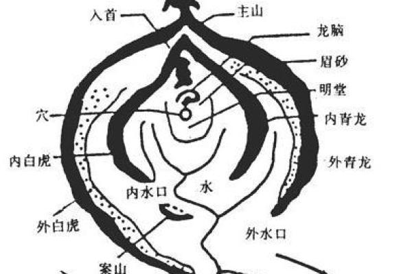 古代棺材风水学的神秘影响与解读