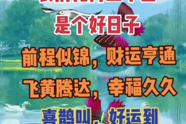沛玥：财运亨通，前程似锦，人生赢家之名