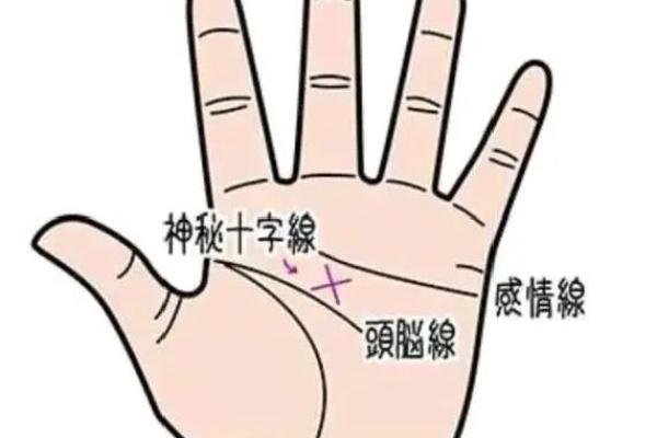 手相中的秘密：如何从手纹看出你何时脱单？