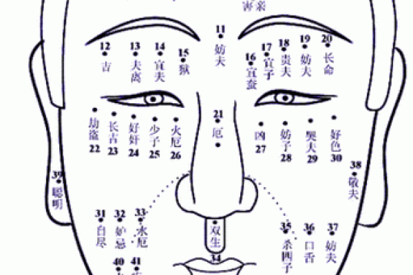 痣相探秘：人中附近痣暗示的财运密码