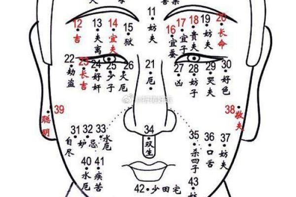 痣相探秘：人中附近痣暗示的财运密码