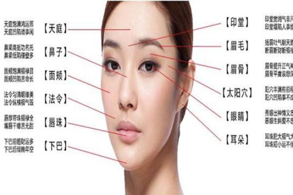 面相解析：揭秘五官间的秘密语言