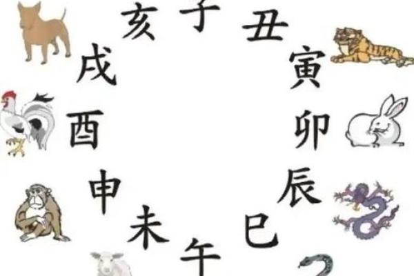 地支相克生肖榜：揭秘你的生肖克星