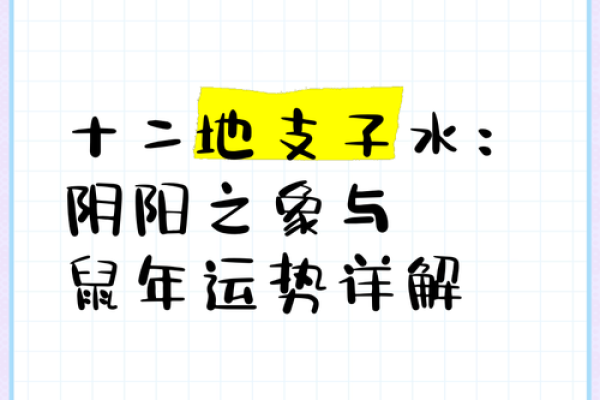 神秘地支揭秘：运势揭秘，谁将转运？