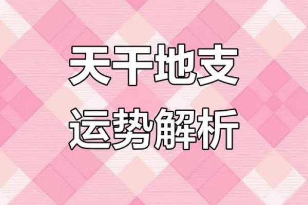 神秘地支揭秘：运势揭秘，谁将转运？