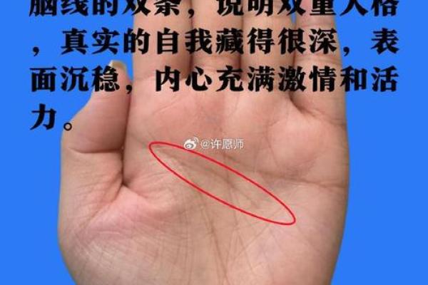 神秘直线手相：揭秘命运走向的神奇符号