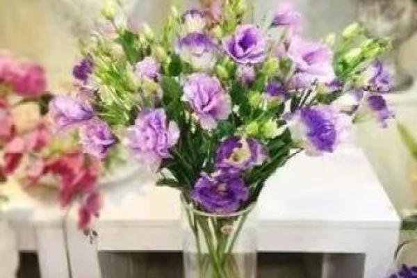 办公室风水秘籍：假花如何摆放，提升运势必备