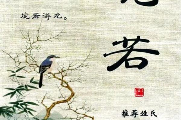 揭秘程洛名字的独特魅力与文化内涵