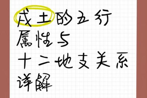 深度解析五行土行业：土的力量如何推动商业创新