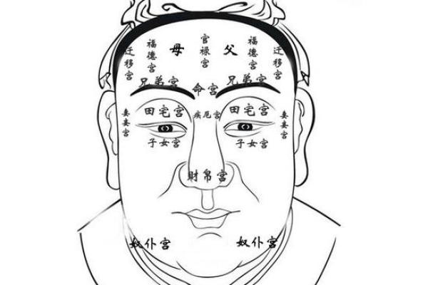 解锁神秘面相：麻衣相男人痣的寓意与影响