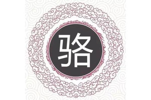 骆姓名字解析：解读独特男名的文化内涵