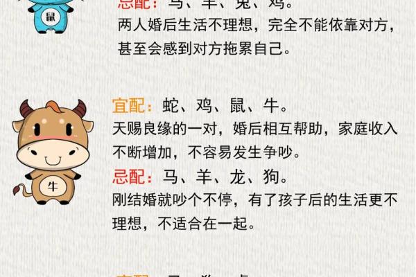 生辰八字与人生运势的深刻关联