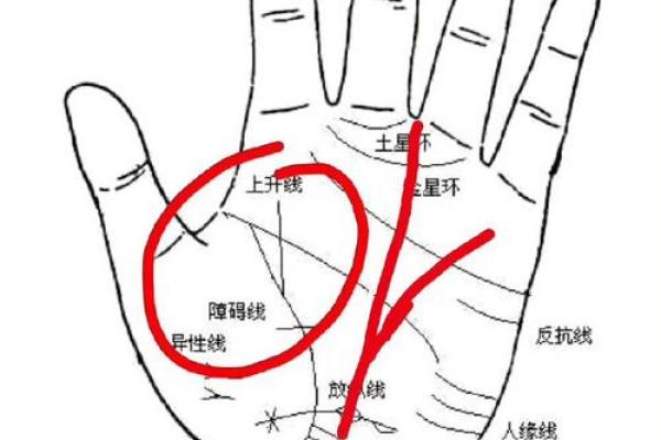 神秘手相揭秘：掌握命运的秘密线索！