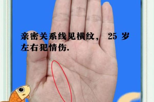 手相周易解密：掌握命运，预见未来