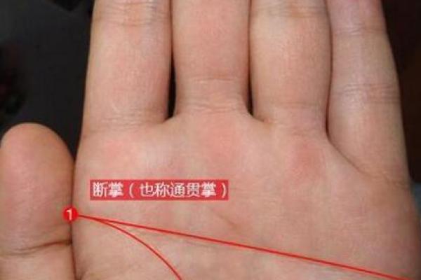 手相断掌大揭秘：掌握人生运势的关键线索