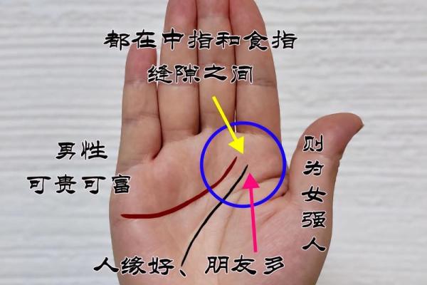 手相断掌大揭秘：掌握人生运势的关键线索
