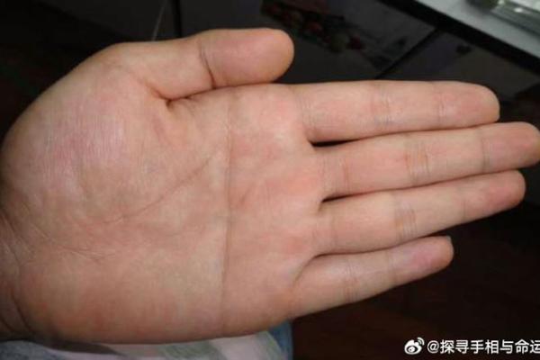 手相奥秘：揭秘你的佛眼，财运亨通的秘密