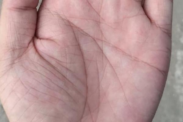 手相奥秘：揭秘你的佛眼，财运亨通的秘密