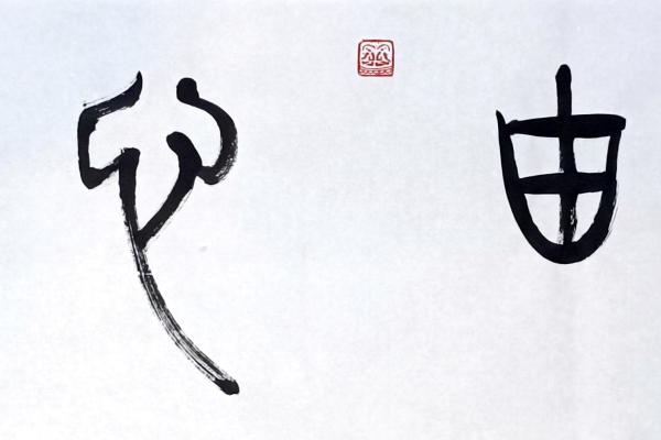心字名字的搭配艺术：打造个性魅势